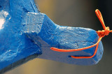 colourful details on fishing boats