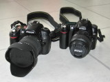 Nikon D80 - Sigma 17-70mm f/2.8-4.5 DC Macro    /\      Nikon D50 -  Nikkor 18-55mm f/3.5-5.6G ED II AF-S DX Zoom