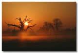 Elk Grove Sunrise