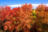Autumn Colors - Mantua, Utah