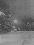 A 14 snowfall in Dec 63 turned Overton Pk. into a wintry playground.-CA