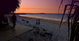 Noosa Sunset