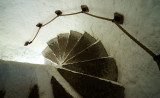 Stairs Cahir Castle