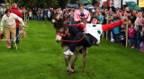 Donkey Race