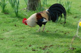 Food at last!088.jpg