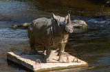 Rhino in the river.JPG