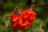 DSC_0363.JPG