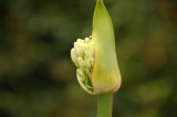 Il 2007 024.jpg
