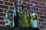 Five green bottles standing on a wall.jpg