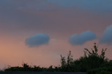 Pink sky last night - sunny day today.jpg