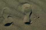 Footprints in the sands of time.jpg