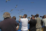 0097M-Vogelfotografen maken fotos vanaf het dek van de Dageraad.jpg