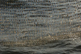 0212M-Net druipt.jpg
