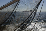 0324M-Net op in de Eurogeul.jpg