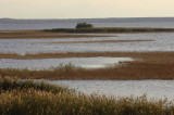 0172M-Oderdelta aan de Poolse zijde boven Stettin .jpg