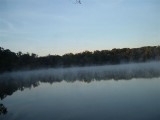 south through the misty morning