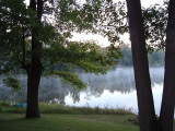 through the limbs<br>Algonquin Lake, MI