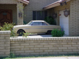 Ford Falcon<br>in Tempe