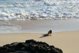 Makapu'u mermaid