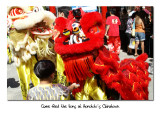 Lions at Honolulu Chinatown