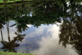 Reflections at Richardson Park