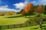 96 Pastureland and Niagara Escarpment 3.jpg