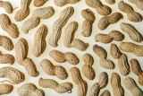 109 Peanut wallpaper.jpg
