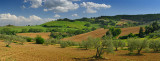 130 Umbrian Hills Pano.jpg