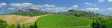 137 Tuscan Hills  Pano 3.jpg