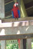 Costa Rica 020.jpg