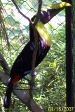 Costa Rica 034.jpg