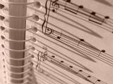 Sony 138<br><font size=2>Angles<br>Rameau Rondeau<br><font size=1>Eligible</font><br><b>3rd Place</font>