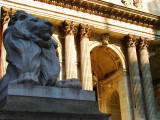 DSC02640.JPG