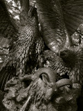 Eagles and Prey