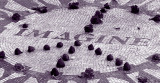 Strawberry Fields