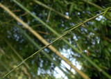 DSC_5020.JPG