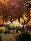 Colors ~ October 19th