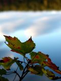By the Lake ~ October 21st