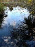 fascinated by reflections ~ October 22nd