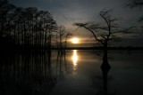 Reelfoot in Ice