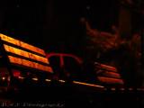 Benches in the dark