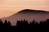 le champ du feu - vosges