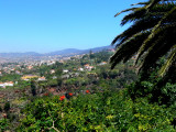 Funchal -Madeira