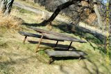 The only picnic table in the park
