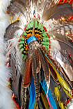 Closeup of feathers