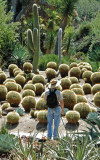 Son, John, also a photographer, admiring cacti.