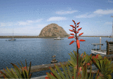 A view of Morro Rock