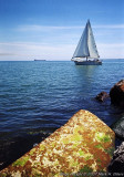 sailboat 1b.jpg