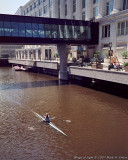 rower 2 1a.jpg