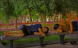 Sleeping time in the park .